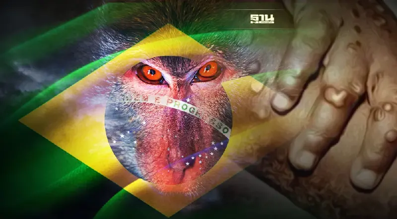 "ฝีดาษลิง" บราซิล พบผู้ติดเชื้อรายแรกของประเทศ