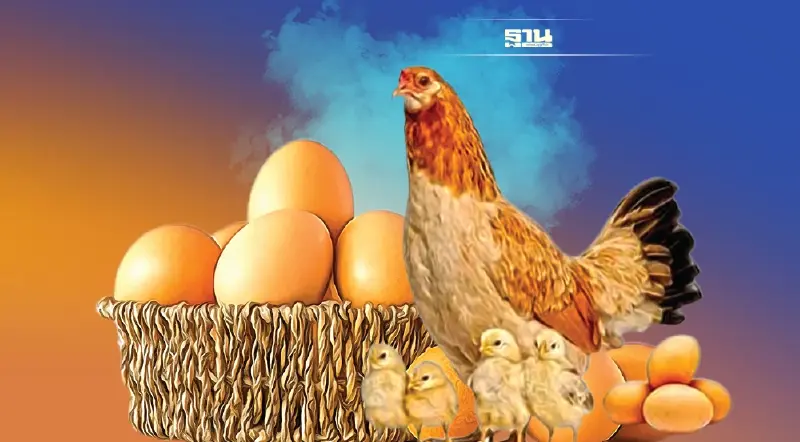 เปิดตัวเลข  16 บิ๊กวงการ ดันส่งออกไข่ไก่ มิ.ย. ป้องราคาตก
