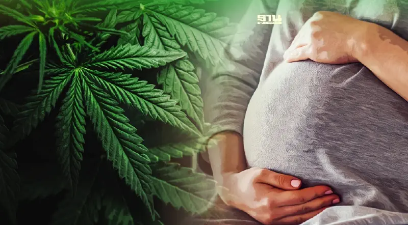 จิตแพทย์จี้รัฐ ออกมาตรการป้องกันกลุ่มเปราะบาง รับปลดล็อกกัญชา