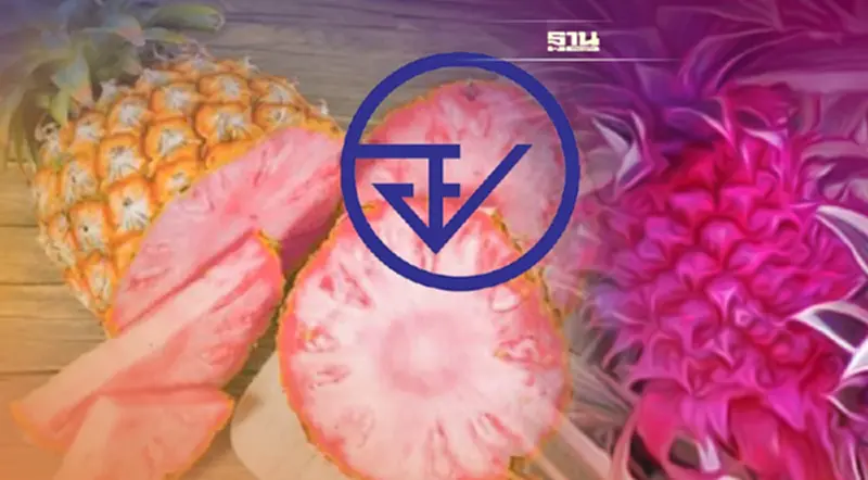อย. คุมเข้ม GMO “สับปะรดสีชมพู” ต้องขออนุญาตนำเข้า อย. คุมเข้ม GMO “สับปะรดสีชมพู” ต้องขออนุญาตนำเข้า