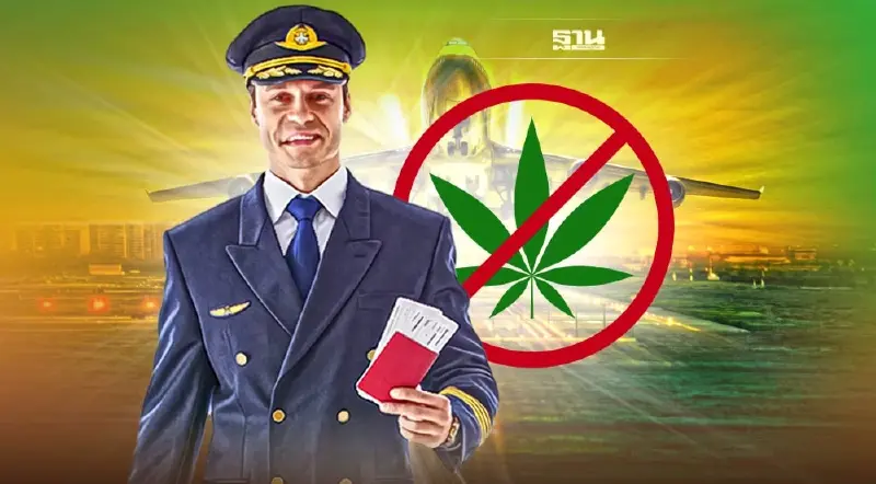 กพท.ออกประกาศห้ามนักบินใช้กัญชา  โทษสูงสุดถึงขั้นเพิกถอนใบอนุญาต