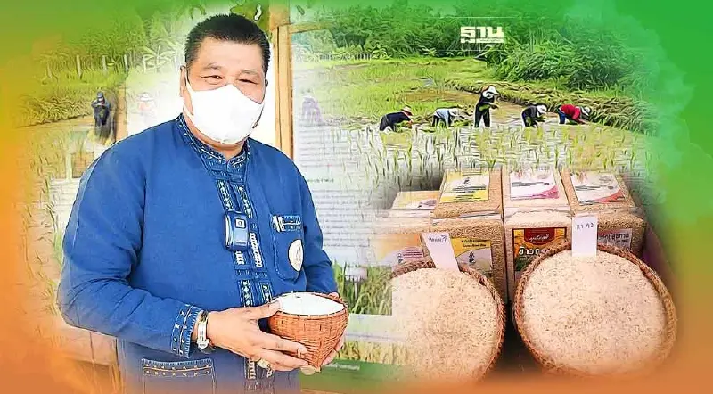 จัดใหญ่ "งานวันข้าวและชาวนาแห่งชาติ 65" จ.อุบลราชธานี