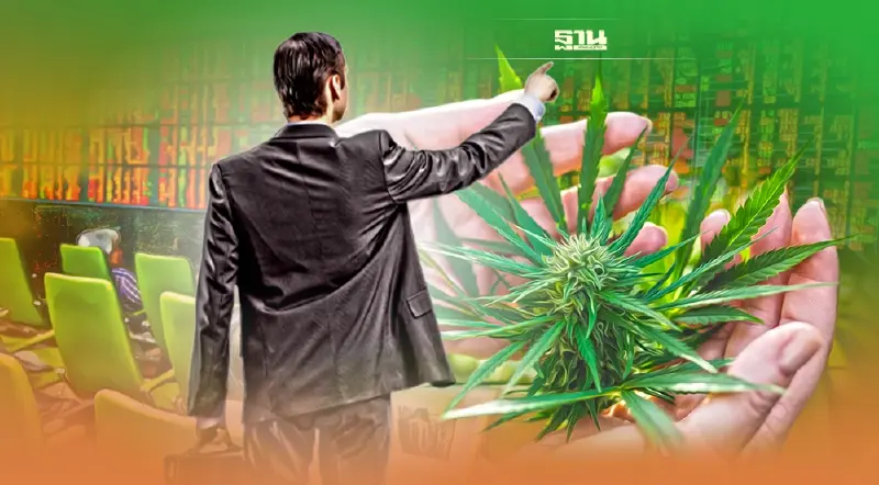 "เอเซียพลัส"เตือนเก็งกำไรหุ้นกัญชา สแกนผลตอบแทนราคาล่าสุด