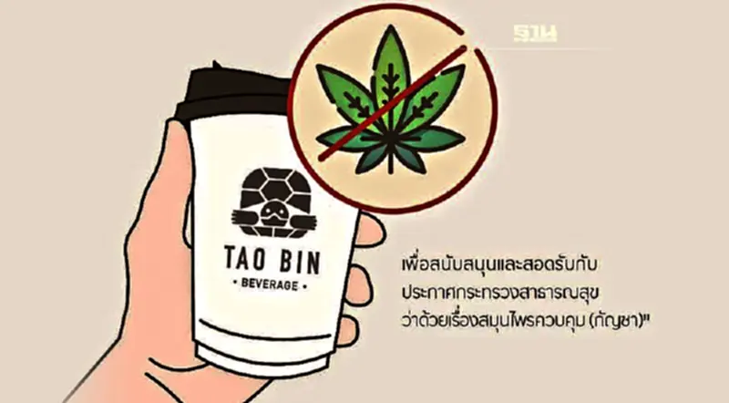 "เต่าบิน"แจ้งปิดจำหน่ายเมนูเครื่องดื่มที่มีส่วนผสมของกัญชา "เต่าบิน"แจ้งปิดจำหน่ายเมนูเครื่องดื่มที่มีส่วนผสมของกัญชา