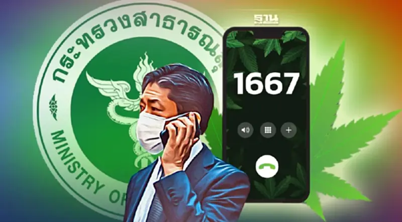 เปิดสายด่วน "ปรึกษากัญ 1667" ให้คำปรึกษาใช้กัญชาอย่างปลอดภัย เปิดสายด่วน "ปรึกษากัญ 1667" ให้คำปรึกษาใช้กัญชาอย่างปลอดภัย