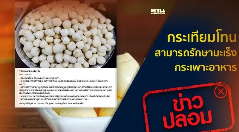 ข่าวปลอม! "กระเทียมโทน" รักษามะเร็งกระเพาะอาหารได้