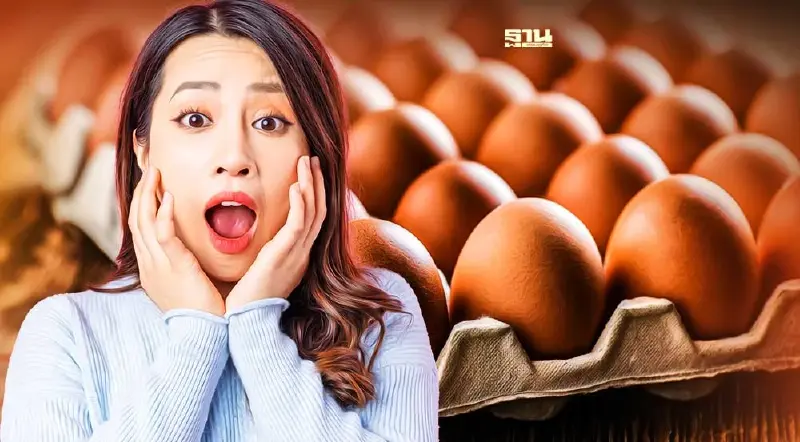 ไข่ไก่ หน้าฟาร์มปรับราคาขึ้นแล้ววันนี้กี่บาทอ่านเลย