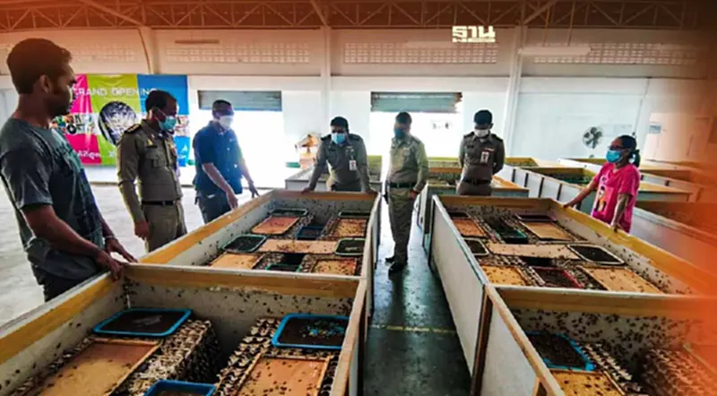 "แมลงรวย"หนุนเรือนจำอุตสาหกรรมร่วมสร้างอาชีพใหม่ผู้ต้องขังพ้นโทษ "แมลงรวย"หนุนเรือนจำอุตสาหกรรมร่วมสร้างอาชีพใหม่ผู้ต้องขังพ้นโทษ
