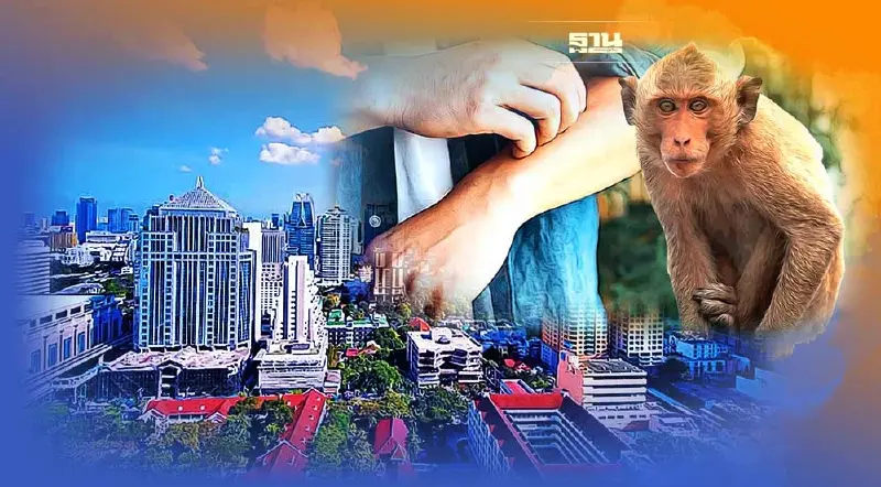 พบผู้ป่วย "ฝีดาษลิง" รายที่ 2 ในกรุงเทพฯ เร่งสอบสวนโรค