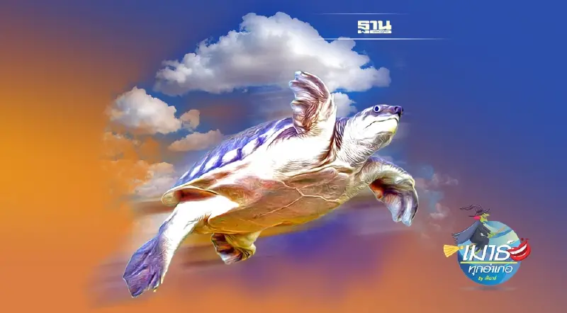 เต่าบิน... เต่าอ้วนแล้ว บินไม่ไหว