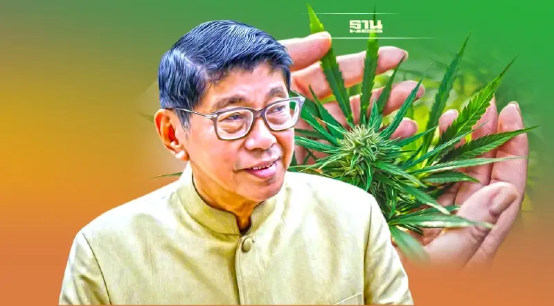 "วิษณุ"แนะช่วงสุญญากาศ   รอกฎหมายกัญชา อย่ายุ่ง อย่าเสพ ดีที่สุด