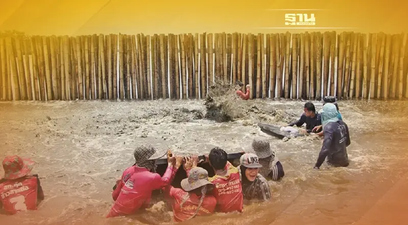 กรม ทช. ชี้แจงกรณีผู้ประกาศข่าวกังวล ผลเสียทำ CSR ปลูกป่า ทำโลมาตาย