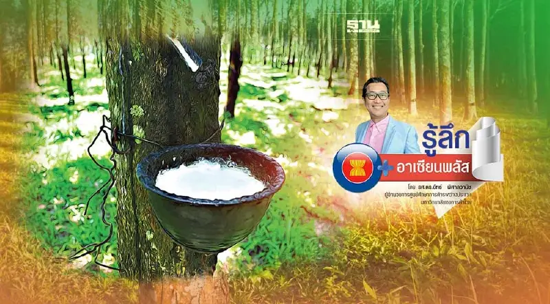 สวนยางยั่งยืน ตามกติกาสากล“ไกลเกินเอื้อม” สำหรับเกษตรกรไทยหรือไม่?