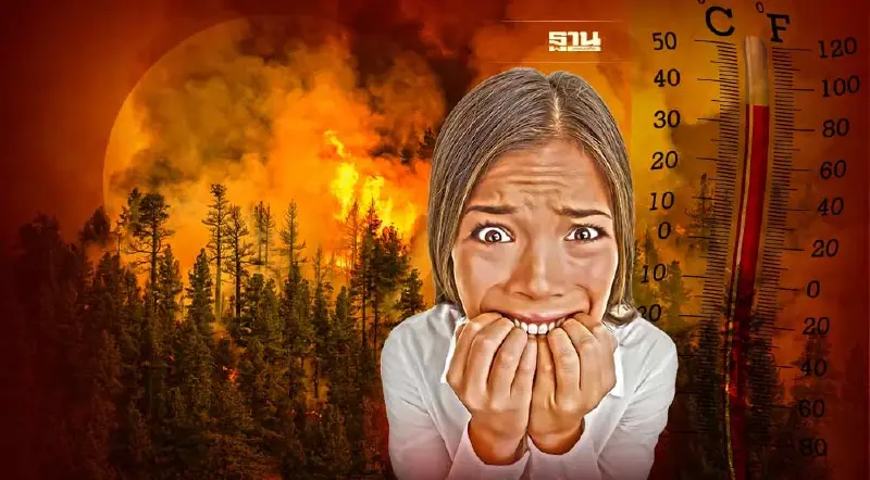 คลื่นความร้อนโจมตียุโรป อุณหภูมิทะลุ 40 องศาเซลเซียส ไฟป่าลุกลามหลายประเทศ