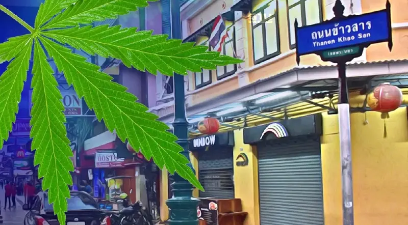 ชงปั้น "ถนนข้าวสาร" เป็น "ฮับกัญชา" บู๊สต์ท่องเที่ยว