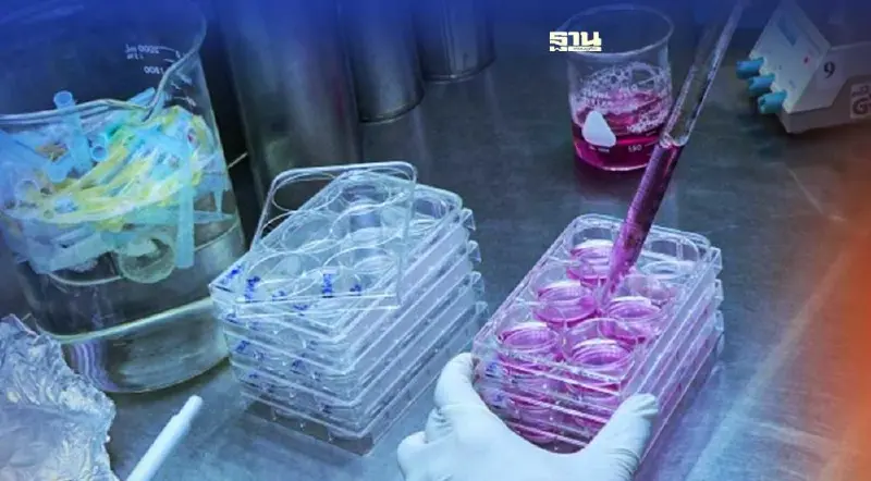 ข่าวดี! ไทยมีวัคซีนป้องกัน "ฝีดาษลิง" 5 หมื่นโดสพร้อมรับมือ