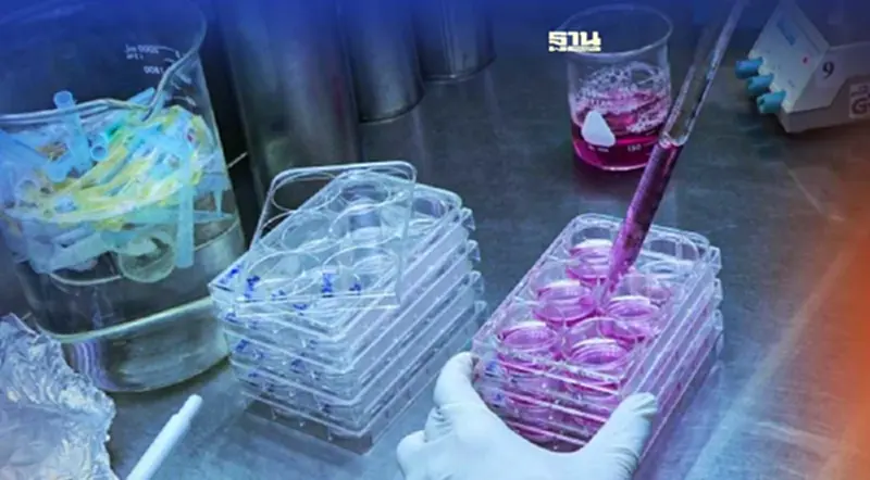 ข่าวดี! ไทยมีวัคซีนป้องกัน "ฝีดาษลิง" 5 หมื่นโดสพร้อมรับมือ ข่าวดี! ไทยมีวัคซีนป้องกัน "ฝีดาษลิง" 5 หมื่นโดสพร้อมรับมือ