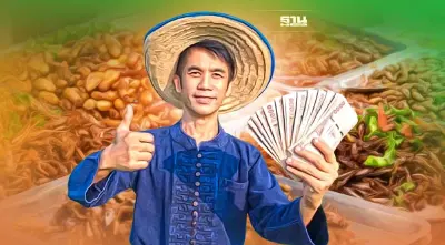 "แมลง"อาหารทางเลือกของสินค้าไทย  สร้างมูลค่าเพิ่มสินค้าเกษตร