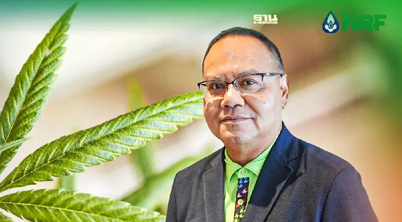 GTH มั่นใจรายได้ธุรกิจกัญชง-กัญชาโต 30%ในปีนี้