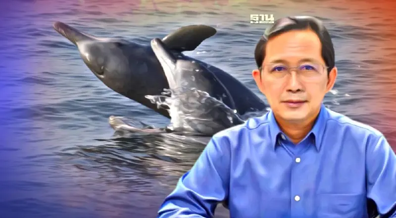 พบ “ฝูงโลมาหลังโหนก” 6-8 ตัว โผล่ชายฝั่งทะเลปัตตานี (คลิป)