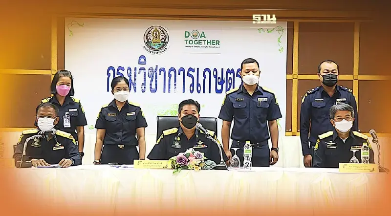 แถลงจับกุมลักลอบนำเข้าช่อดอกกัญชาแห้ง ผิดกฎหมาย