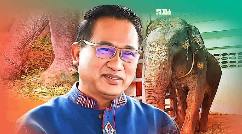 เชือดเจ้าของฟาร์มจระเข้และสวนสัตว์สมุทรปราการ ผิดพ.ร.บ.ทารุณกรรมสัตว์