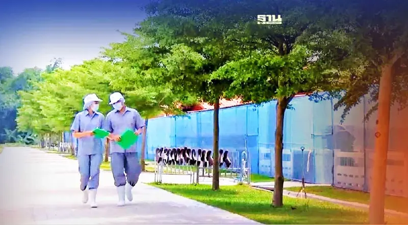 CPF ตั้งเป้าฟาร์มสุกรคอนแทรคฟาร์มทุกแห่งต้องใช้ “ไบโอแก๊ส-โซลาร์ฟาร์ม”