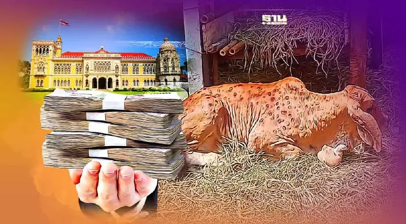 ครม.จัดงบกลาง 1,188 ล้าน เยียวยา-แก้ปัญหาโรค “ลัมปี สกิน”