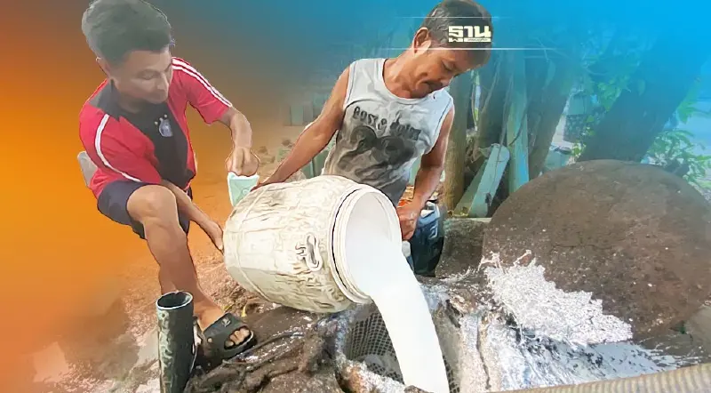 ราคาน้ำยางสดวูบ นายกฯน้ำยางข้นไทยชี้"ปรับสมดุลตามกลไกตลาด" ราคาน้ำยางสดวูบ นายกฯน้ำยางข้นไทยชี้"ปรับสมดุลตามกลไกตลาด"