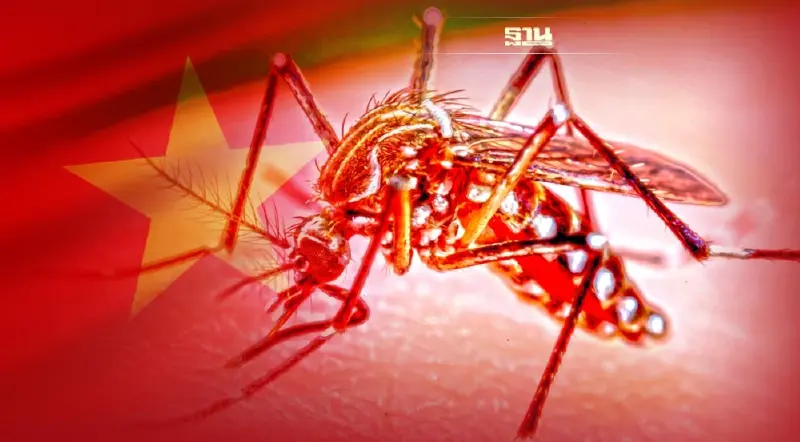 เวียดนามเตรียมรับมือ “ไข้เลือดออก” ระบาดหนัก พบครึ่งปีผู้ป่วยเพิ่มเท่าตัว