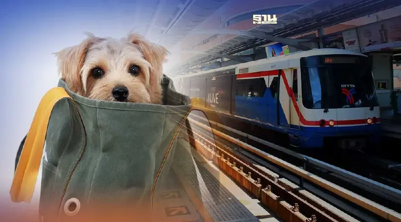 “บีทีเอส”ประกาศห้ามนำสัตว์เลี้ยงทุกประเภทขึ้นรถไฟฟ้า ยกเว้นสุนัข 2 กลุ่ม