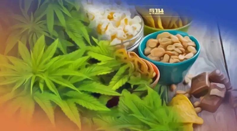 "กัญชา" ดูคำแนะนำจากแพทยสภา การใช้และไม่ใช้  7 ข้อ มีอะไรบ้าง เช็คเลย