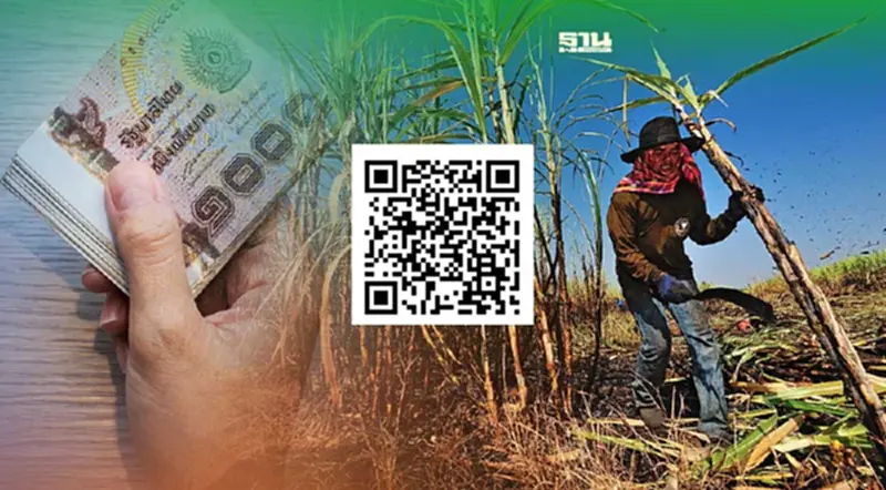 สแกน QR Code เงินช่วยเหลือชาวไร่อ้อย รอรับกลางเดือน ส.ค. สแกน QR Code เงินช่วยเหลือชาวไร่อ้อย รอรับกลางเดือน ส.ค.