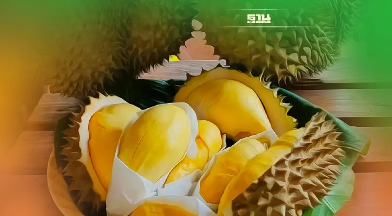 “ทุเรียนภูเขาไฟศรีสะเกษ”  ราคาต่ำสุดในรอบ 20  ปี