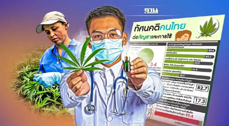 SUPER POLL ชี้ คนไทยค้านเสพกัญชาเพื่อบันเทิง ยังเชื่อข้อมูลสธ.เหนือโซเชียล SUPER POLL ชี้ คนไทยค้านเสพกัญชาเพื่อบันเทิง ยังเชื่อข้อมูลสธ.เหนือโซเชียล