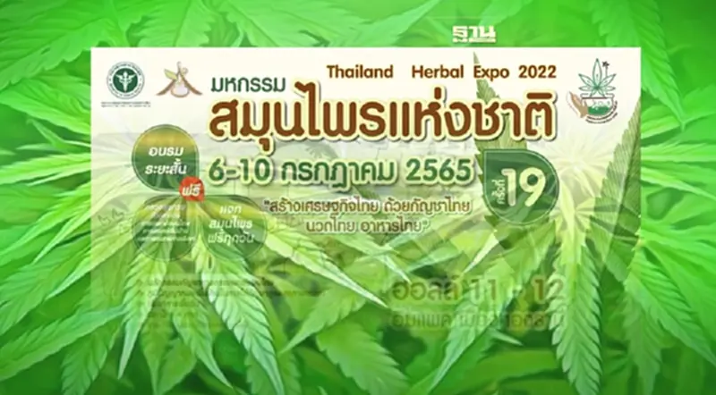 มหกรรมสมุนไพรแห่งชาติ ครั้งที่ 19 Thailand Herbal Expo 2022 เริ่มแล้ววันนี้ มหกรรมสมุนไพรแห่งชาติ ครั้งที่ 19 Thailand Herbal Expo 2022 เริ่มแล้ววันนี้