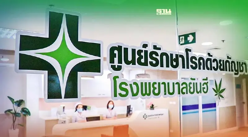 ยันฮี ทุ่มต่ออีก 100 ล้าน พัฒนา"ศูนย์รักษาโรคด้วยกัญชา"