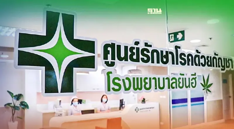 ยันฮี ทุ่มต่ออีก 100 ล้าน พัฒนา"ศูนย์รักษาโรคด้วยกัญชา" ยันฮี ทุ่มต่ออีก 100 ล้าน พัฒนา"ศูนย์รักษาโรคด้วยกัญชา"