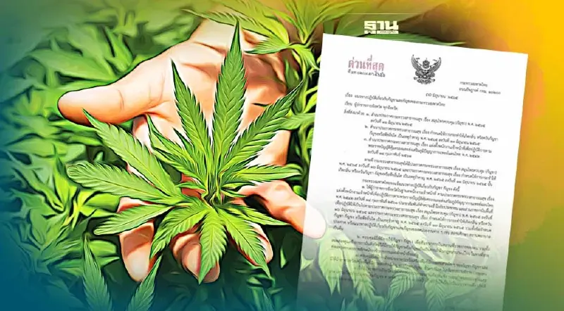 ปลัดมหาดไทย สั่ง "ด่วนที่สุด" ผู้ว่าฯทั่วประเทศ คุมเข้มแนวปฏิบัติ ใช้กัญชา