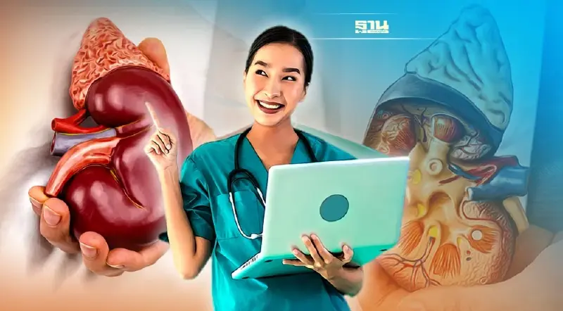 ทำความรู้จัก “โรคไต” ภัยเงียบใกล้ตัวที่ป้องกันได้