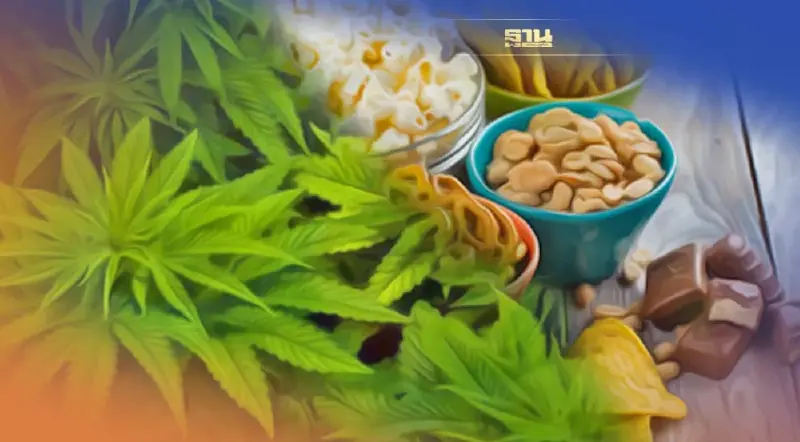 กรมอนามัย เตือน"ร้านขายอาหาร-เครื่องดื่มผสมกัญชา"ต้องขอรับใบอนุญาต