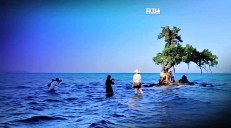 จัดการท่องเที่ยวเกาะหมาก"พอดี-มีสุข"ให้น่าเที่ยวยั่งยืน จัดการท่องเที่ยวเกาะหมาก"พอดี-มีสุข"ให้น่าเที่ยวยั่งยืน