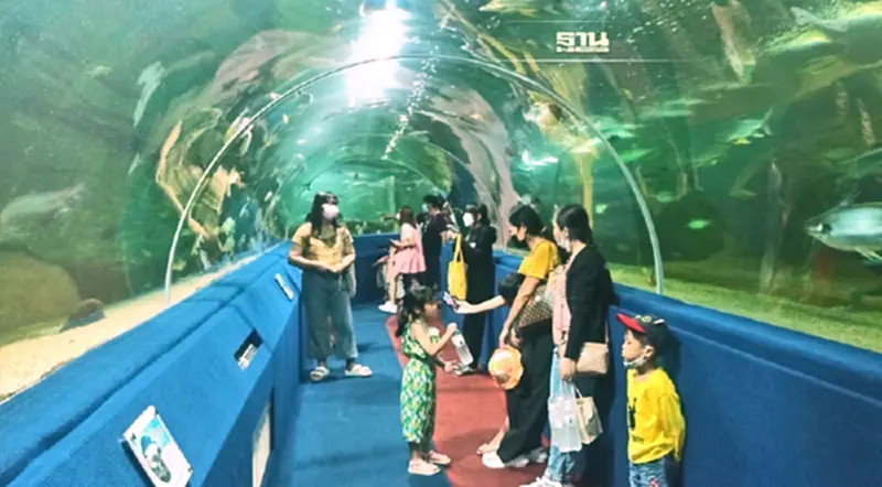 ล้านเลยจ้า.. วันเฉลิมฯคนแห่เที่ยวสวนสัตว์เชียงใหม่ทำสถิติรายได้ใหม่ ล้านเลยจ้า.. วันเฉลิมฯคนแห่เที่ยวสวนสัตว์เชียงใหม่ทำสถิติรายได้ใหม่