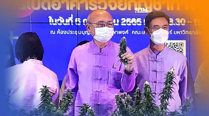 เดินหน้า มช.จับมือ"แอตแลนต้า เมดดิคแคร์ "เปิดอาคารวิจัย"กัญชาทางการแพทย์" เดินหน้า มช.จับมือ"แอตแลนต้า เมดดิคแคร์ "เปิดอาคารวิจัย"กัญชาทางการแพทย์"