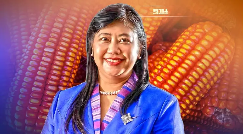 เปิดข้อมูล สศก. "คาดการณ์ผลผลิต-การตลาด" ข้าวโพดเลี้ยงสัตว์ปี65