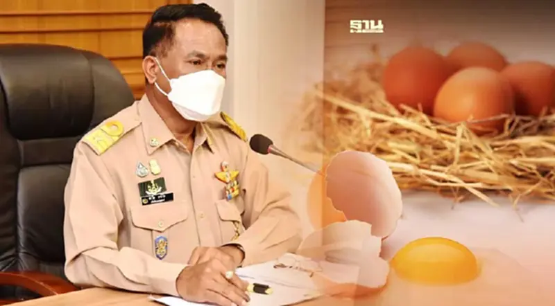 “กรมปศุสัตว์” จับมือเอกชนแก้ไข่ไก่ล้นตลาด “กรมปศุสัตว์” จับมือเอกชนแก้ไข่ไก่ล้นตลาด