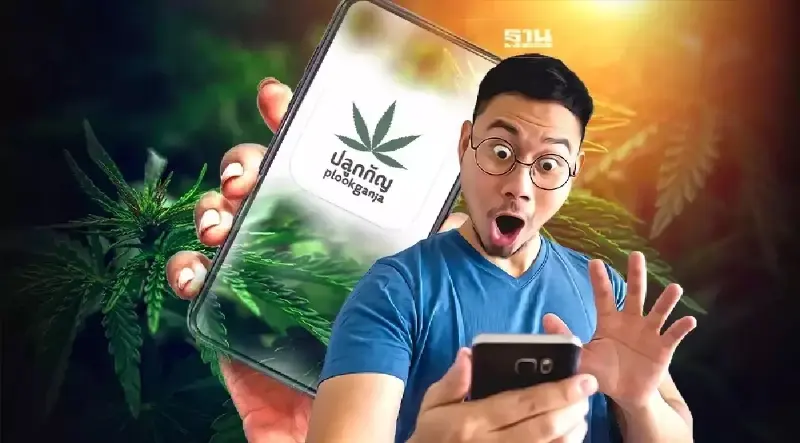 ลงทะเบียนปลูกกัญชาล่าสุด 1 ก.ค. 9.57 แสนคน ใช้งานระบบปลูกกัญ 42.61 ล้านครั้ง