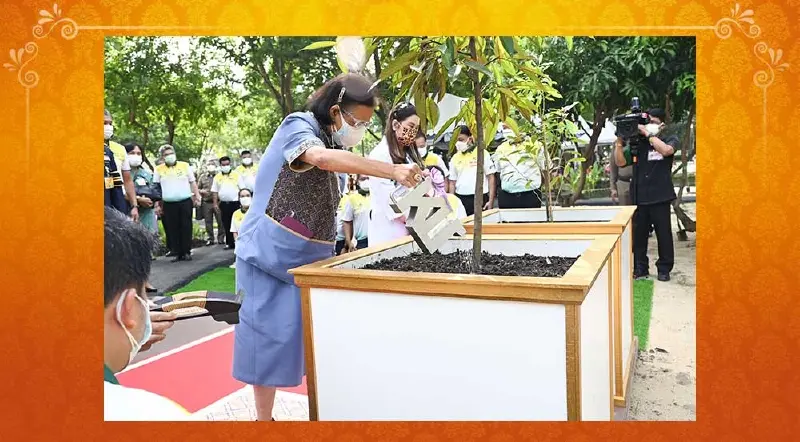 กรมสมเด็จพระเทพฯ ทรงปลูกต้นไม้ เนื่องในเทศกาล "วันเข้าพรรษา" 2565