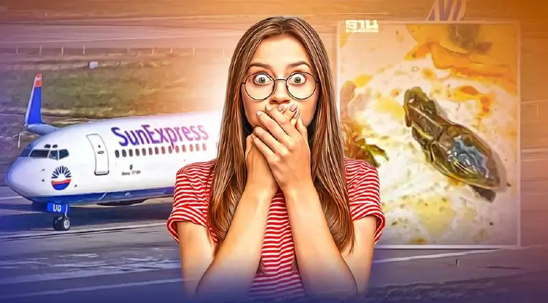 ตะลึง! พนักงานต้อนรับ พบ "หัวงู" ในอาหารลูกเรือบนเครื่องบิน (มีคลิป)