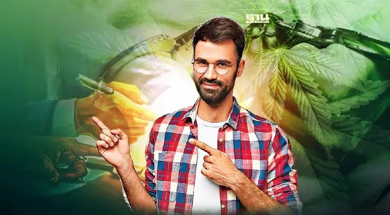 เปิดโทษ “กัญชา” กรณีไหนบ้างไม่ขออนุญาตถือว่ามีความผิด